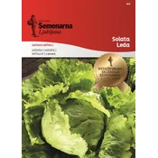 Seme solata Leda