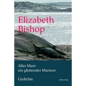 Alles Meer ein gleitender Marmor