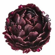 VISEČA CVETNA ROŽA BORDO VELIKA 13X13/23