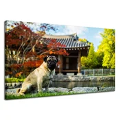 shumee Platno s tiskom Živali Mops 120x70 cm