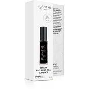 PLANTHÉ Eyelash and Eyebrow Growth Serum serum za trepalnice in obrvi 6 ml