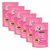 PURINA ONE JUNIOR mini fileji lososa s korenje v soku 6x85 g