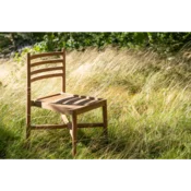 Venture Design Jedilni stol 52x50x80 cm zlata barva