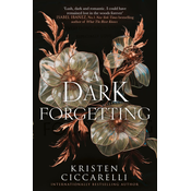 Dark Forgetting