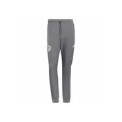 ADIDAS PERFORMANCE Športne hlače MER SA ICN temno siva/off-bela