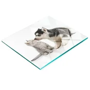 shumee Kuhinjska deska iz kaljenega stekla z dekorativno grafiko pes in mačka 60x52 cm