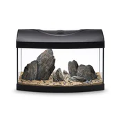 Akvarij STARTUP 40 LED ZAOBLJEN ČRN + Storm Hour River Kit
