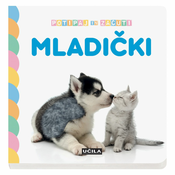 Učila Mladički