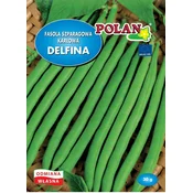 Platinet SEMENA PLATINET NAVADNI FIŽOL SEMENA ZELENE DELFINE 30 G