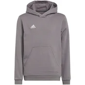 Otroška jopa Adidas Entrada 22 Hoody, siva