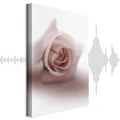 Slika - Floral Glamour Glow (1-part) - Delicate and Pastel Pink Rose 40x60