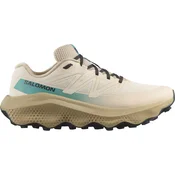Salomon Ultra Flow 2