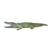 Eleven Target 3D Crocodile with Insert