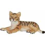 Bengalski mladič Mojo Tiger leži