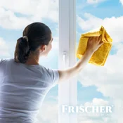 FR Frischer čistilo za stekla z zaščito proti meglenju, 1 L
