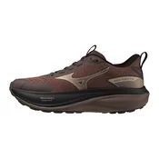 Ženska tekaška obutev Mizuno Wave Rider TT 4 Peppercorn/Simply Taupe/Black