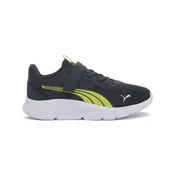Puma  40151926  pisana