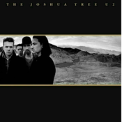 U2 The Joshua Tree (2 LP)