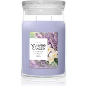 YC Signature Sveča Velika Lavender Vanilla