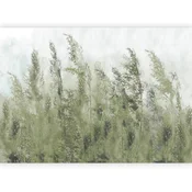 artgeist Fototapeta Tall Grasses, 300x210cm