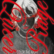 Color the Night - Queer Rage (LP)