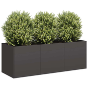Žabica Crna 120x40x40 cm Hladno valjani celik