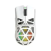 White Shark WGM 5025 MORIEN Wireless Mouse White