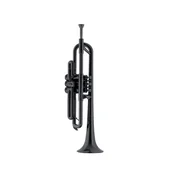 pTrumpet trobenta - Black