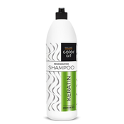 Šampon za Jacanje Kose sa Keratinom COLORART 1000 ml - PROSALON - Kozmo Shop Online