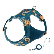 TRUELOVE oprsnica in povodec BLUE CORAL XS