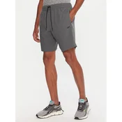 Reebok Športne kratke hlače RK25181CCM Siva Regular Fit