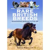 Rare British Breeds