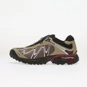 Sneakers Salomon XT-WHISPER GTX Silves/ Huckle/ Maroob EUR 44
