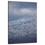 shumee Platno s tiskom Narava Gozd v snegu 60x90 cm