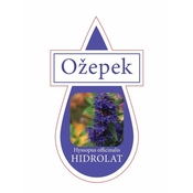 ZAKLADNICA DOBRIH I. Hidrolat - navadni ožepek .
