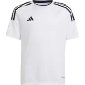 Dres adidas CAMPEON 23 JSYY