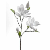 Novogodišnja dekoracija/ grana sa Magnolijama