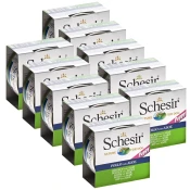 Schesir pasja štene piletina s aloe verom 10 x 150 g