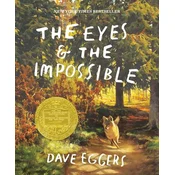 The Eyes and the Impossible