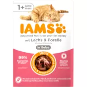 IAMS Mokra hrana za mačke od 1. leta - losos in postrv v želeju - 85 g