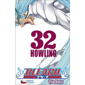 Bleach 32
