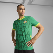 Mens Puma Senegal 2025 Away Jersey, Green, Size S, Clothing