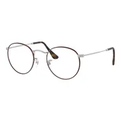 Ray-Ban RX3447V 3194
