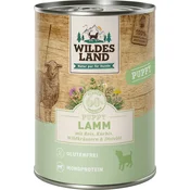 Wildes Land Mokra pasja hrana Puppy - jagnjetina z bučo in rižem - 400 g