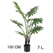 Lilium filadendron 1m, 7 listova, 567271