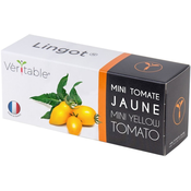 Package of yellow mini-tomatoes Lingot seeds - VERITABLE brand