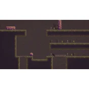 The Dweller