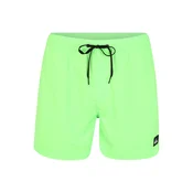 Quiksilver Everyday Swimsuit 420225 Zelena