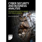 Cyber Security and Business Analysis