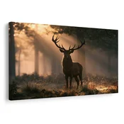 Slika jelen v jutranji svetlobi - 40x30